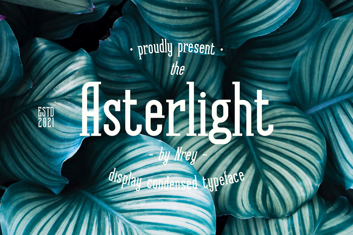 Asterlight typeface, a Serif Font by NREY (Photo 1 of 8)