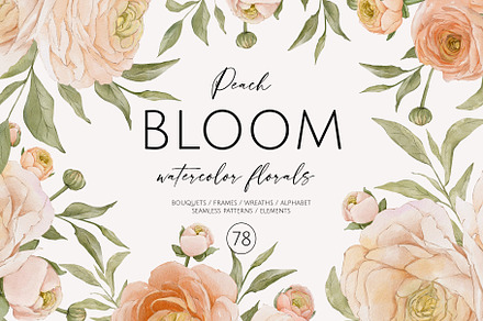 Peach BLOOM watercolor florals