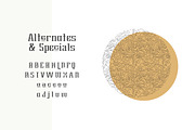 Brylan Typeface, a Serif Font by ANDR35 (Thumbnail 6 of 8)