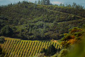 Iberian Hillside Landscape, a Nature Photo by SkyNext