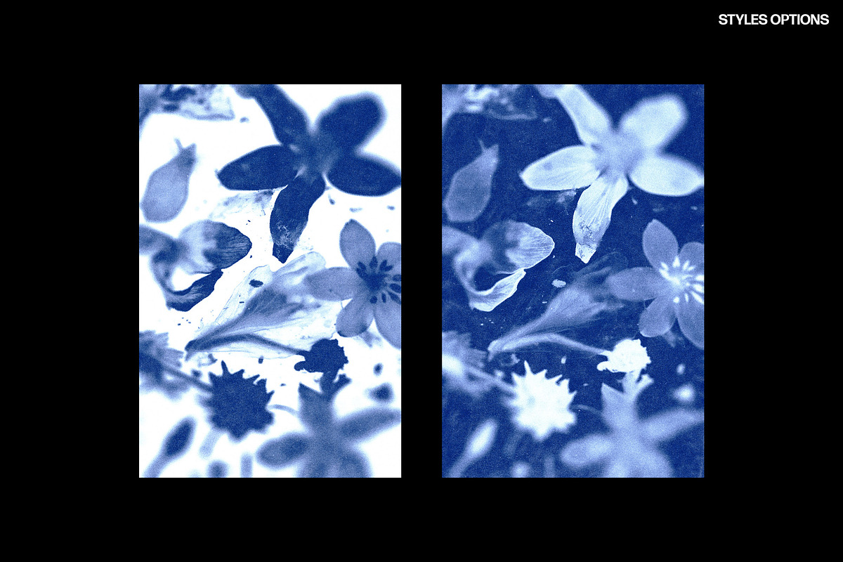 Cyanotype Photo Effect, a Layer Style Add-On by Design Squad (Photo 2 of 6)