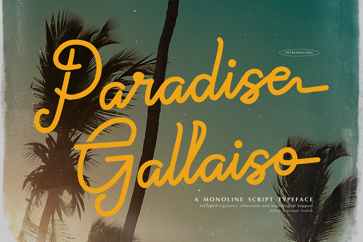 Paradise Gallaiso | Monoline Script, a Script Font by gracetype_studio (Photo 1 of 12)