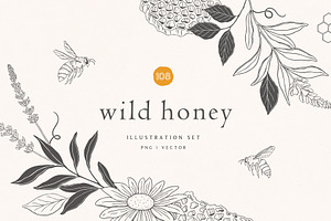 Wild Honey Vector Illustrations