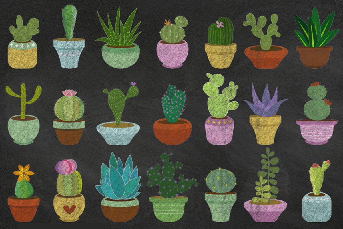 Chalkboard Cacti & Succulent Clipart, an Illustration by Digital Curio (Photo 1 of 2)