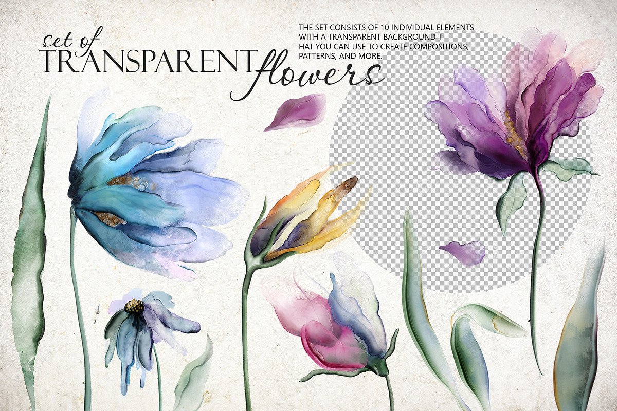 Transparent flowers in alcohol ink, a Decorative Illustration by RushkinaAntonina (Photo 3 of 5)