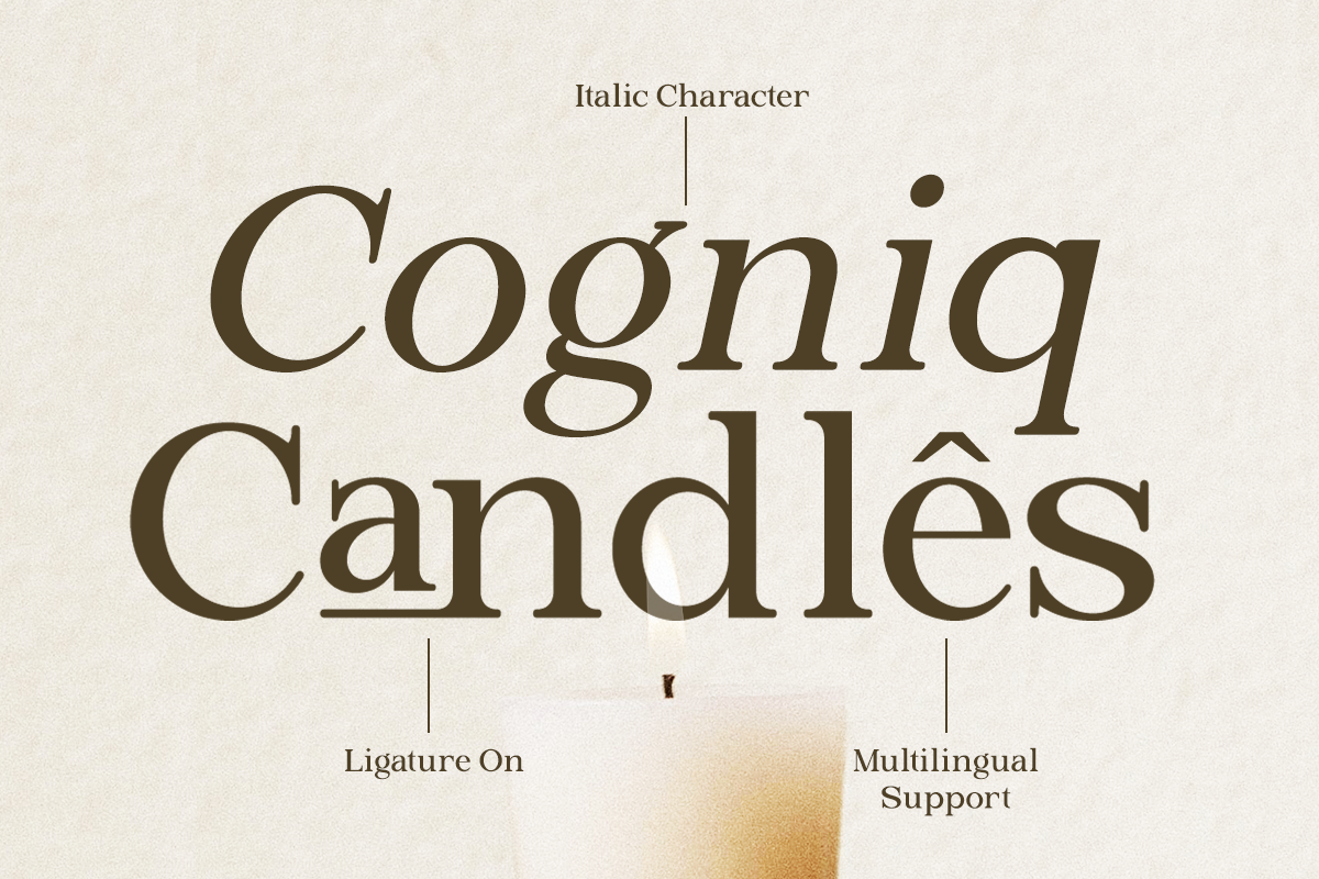 Briska - Modern Ligature Serif, a Serif Font by RagamKata (Photo 4 of 10)