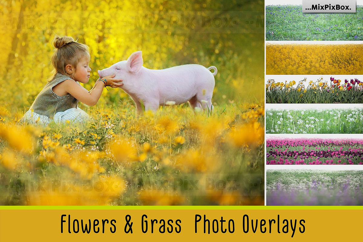 Flowers and Grass Overlays, an Object Graphic by MixPixBox (Photo 1 of 6)