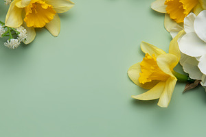 Daffodils and spring flowers creating a floral border on pastel, a Holiday Photo by Olena Rudo