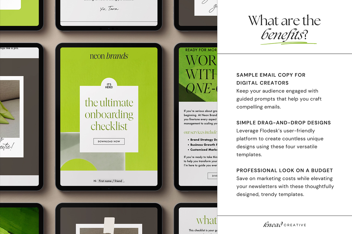 Lead Magnet Flodesk Email Template, an Email Template by Knead Creative (Photo 5 of 6)
