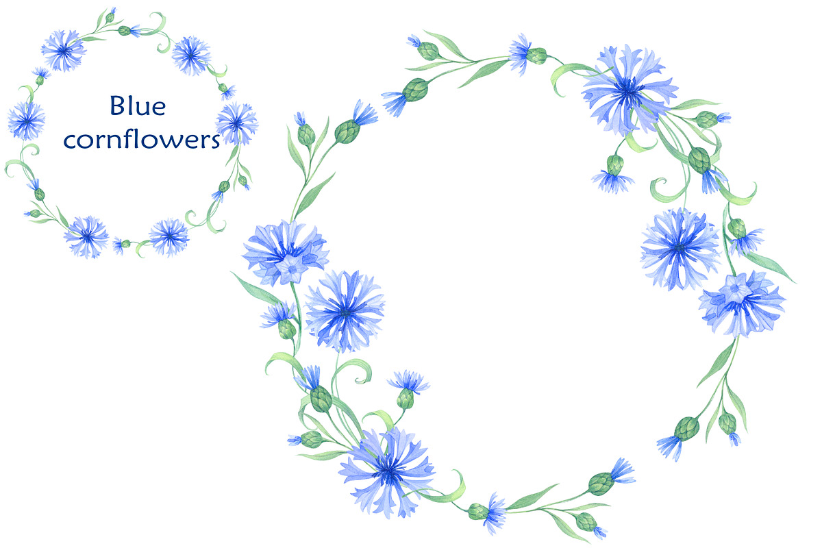Blue cornflowers bundle, a Decorative Illustration by EshaStudio (Photo 7 of 15)