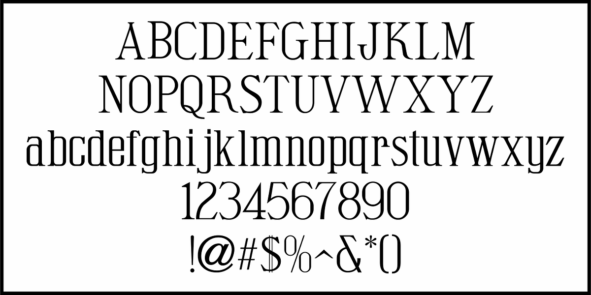 Soup and Salad JNL, a Serif Font by Jeff Levine Fonts (Photo 3 of 5)