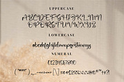 The Spirit, a Script Font by Integritype Studio (Thumbnail 8 of 14)