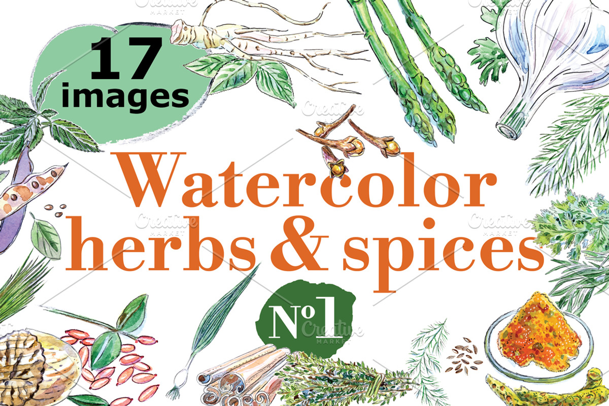 Watercolor spices vector set-1, an Illustration by miminoshka (Photo 1 of 11)