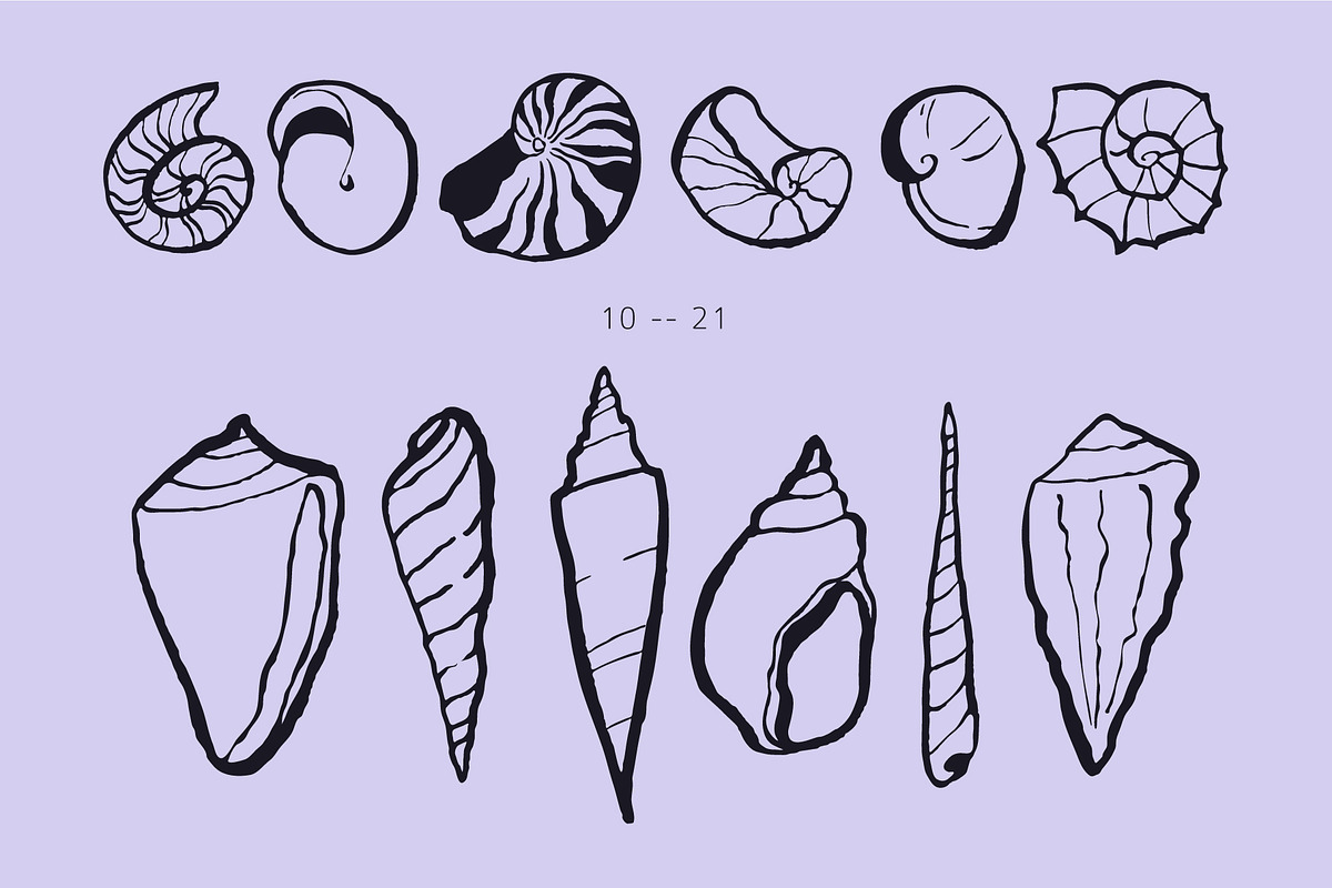 Seashells Hand drawn vector elements, a Seasonal Illustration by Lena Nikolaeva (Photo 5 of 14)
