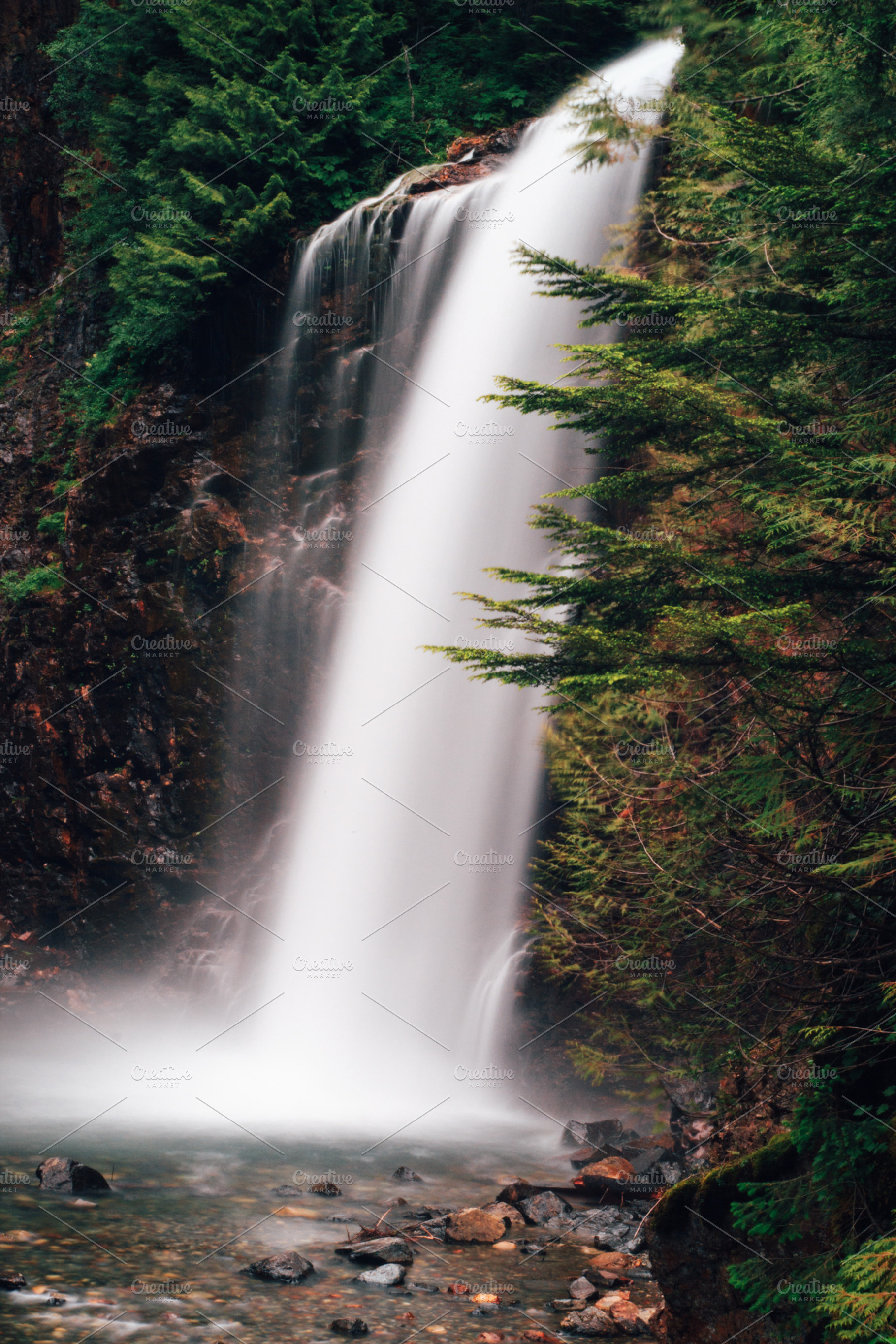 Waterfall In The Woods
