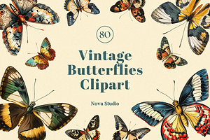 80 Vintage Butterflies Clipart