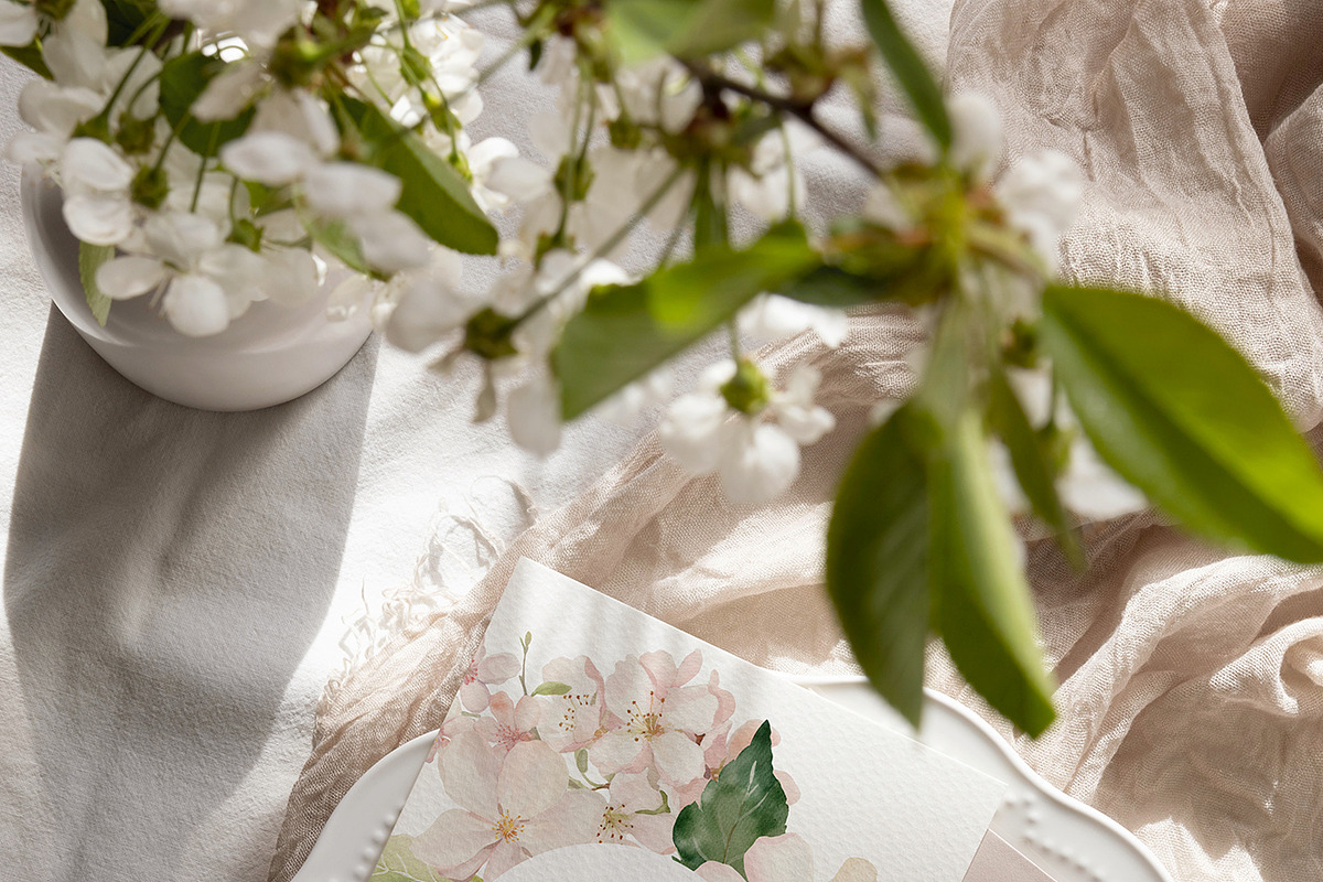 SPRING BOX Watercolor Bundle 400+, a Decorative Illustration by Muse Artist (Photo 45 of 99)