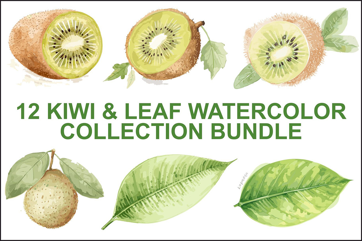 12 Kiwi Fruit Clipart Set, an Illustration by hafijul (Photo 1 of 13)