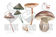 Watercolor Mushrooms Clipart, a Decorative Illustration by NKTKNS (Thumbnail 3 of 6)