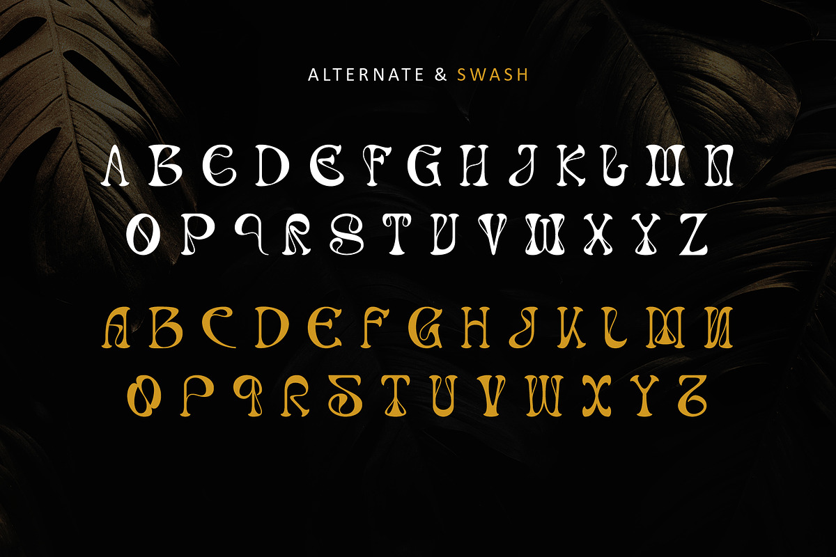 Ranvel, a Serif Font by Letterara (Photo 8 of 11)