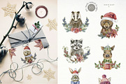 Forest Animals. Character Creator., an Animal Illustration by Designwork (Thumbnail 3 of 21)