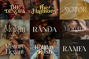 100+ Premium Serif Font Bundle, a Serif Font by Graphicxell (Thumbnail 11 of 12)