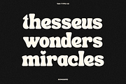 TAN - SONGBIRD, a Font by TanType (Thumbnail 4 of 16)