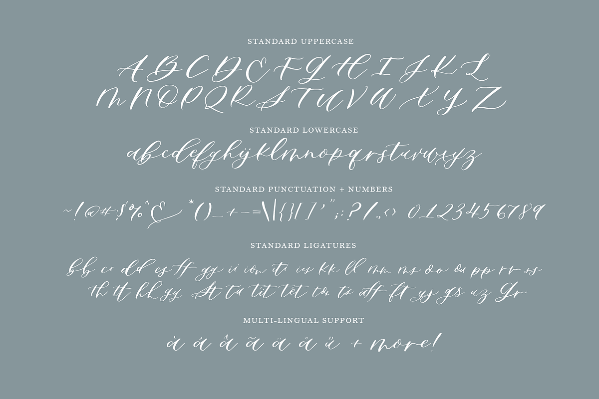 Sapphire Script Standard Version, a Handwritten Font by Design by Laney (Photo 2 of 13)