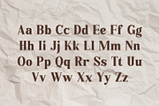 Delari - Lovable Serif Font, a Serif Font by Pikgura (Thumbnail 2 of 7)