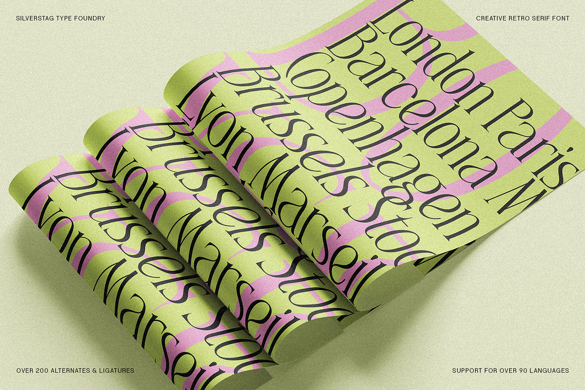 SLTF Rogue Rebellion - Ligature Font, a Serif Font by SilverStag Type Foundry (Photo 24 of 30)