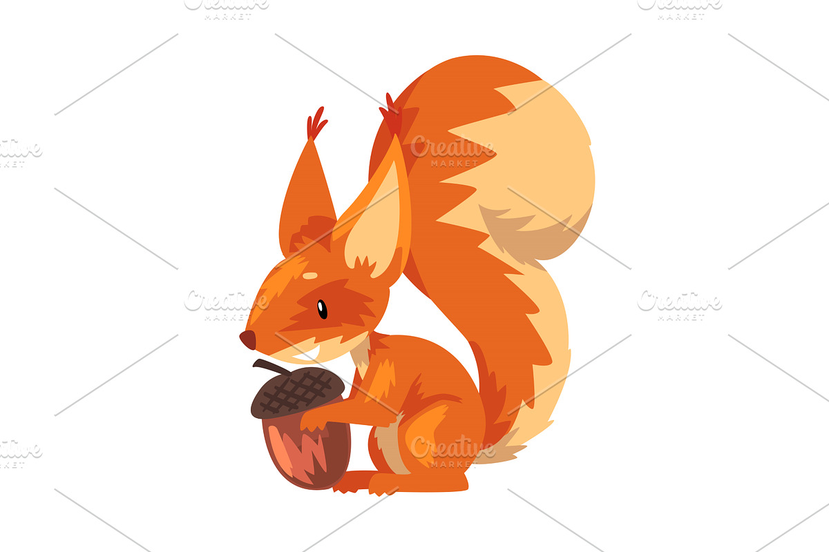 Cute Squirrel with Acorn, Funny, an Animal Illustration by TopVectors