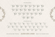 Dove and Goose Typeface, a Serif Font by alit design (Thumbnail 10 of 20)