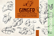 Ginger. Hand drawn illustrations, a Food Illustration by Alena Kaz (Thumbnail 1 of 4)