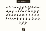 Metanoia - Fancy Font, a Script Font by Typevora Studio (Thumbnail 7 of 11)