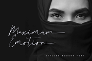 Collection - NEW STYLE, a Script Font by alphArtype (Thumbnail 8 of 16)