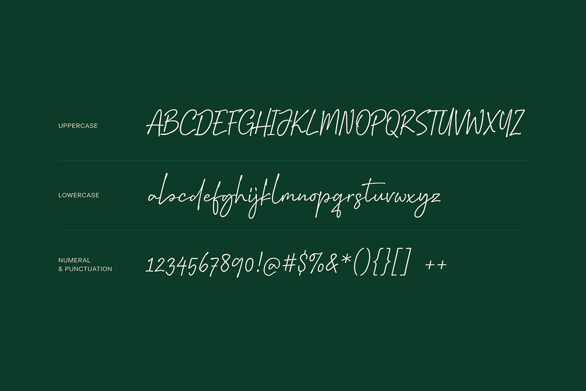 Coldia, a Handwritten Font by Lafontype (Photo 6 of 8)