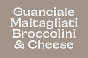 Chronique, a Serif Font by Haus Type (Thumbnail 2 of 7)