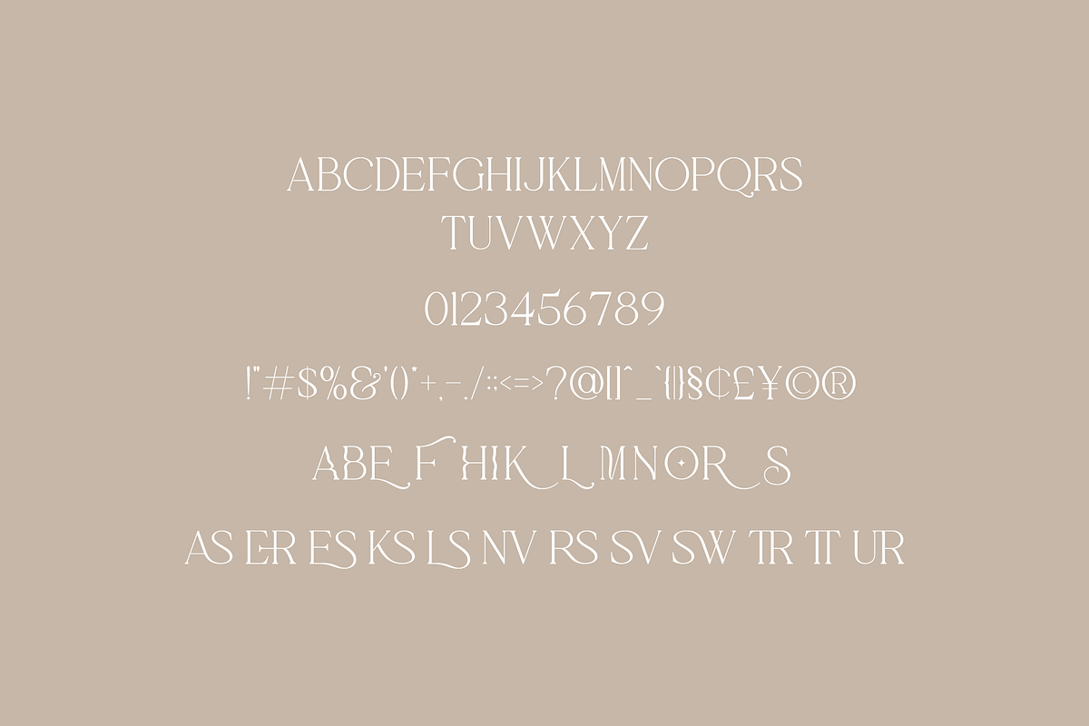 Clover Font Duo, a Serif Font by Pen Culture (Photo 9 of 10)