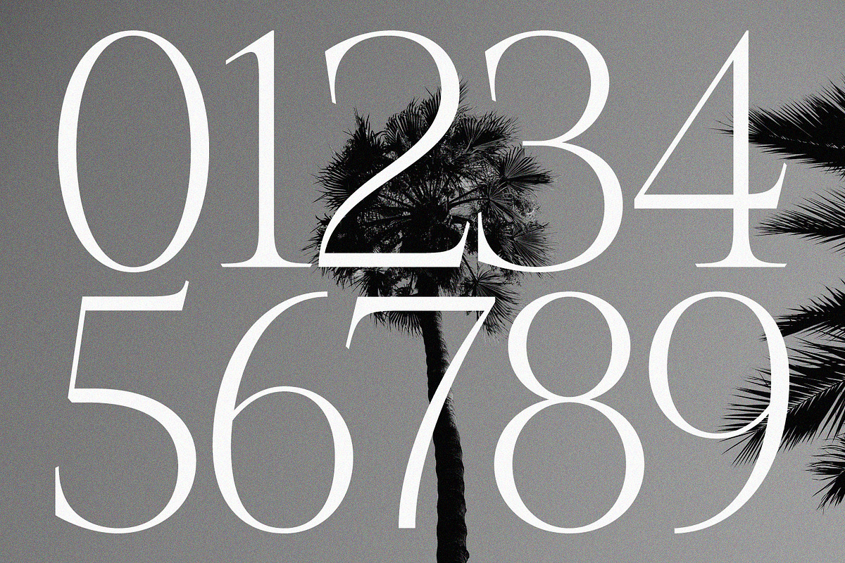 Role Model | Contemporary Serif, a Serif Font by Ef Studio (Photo 12 of 13)