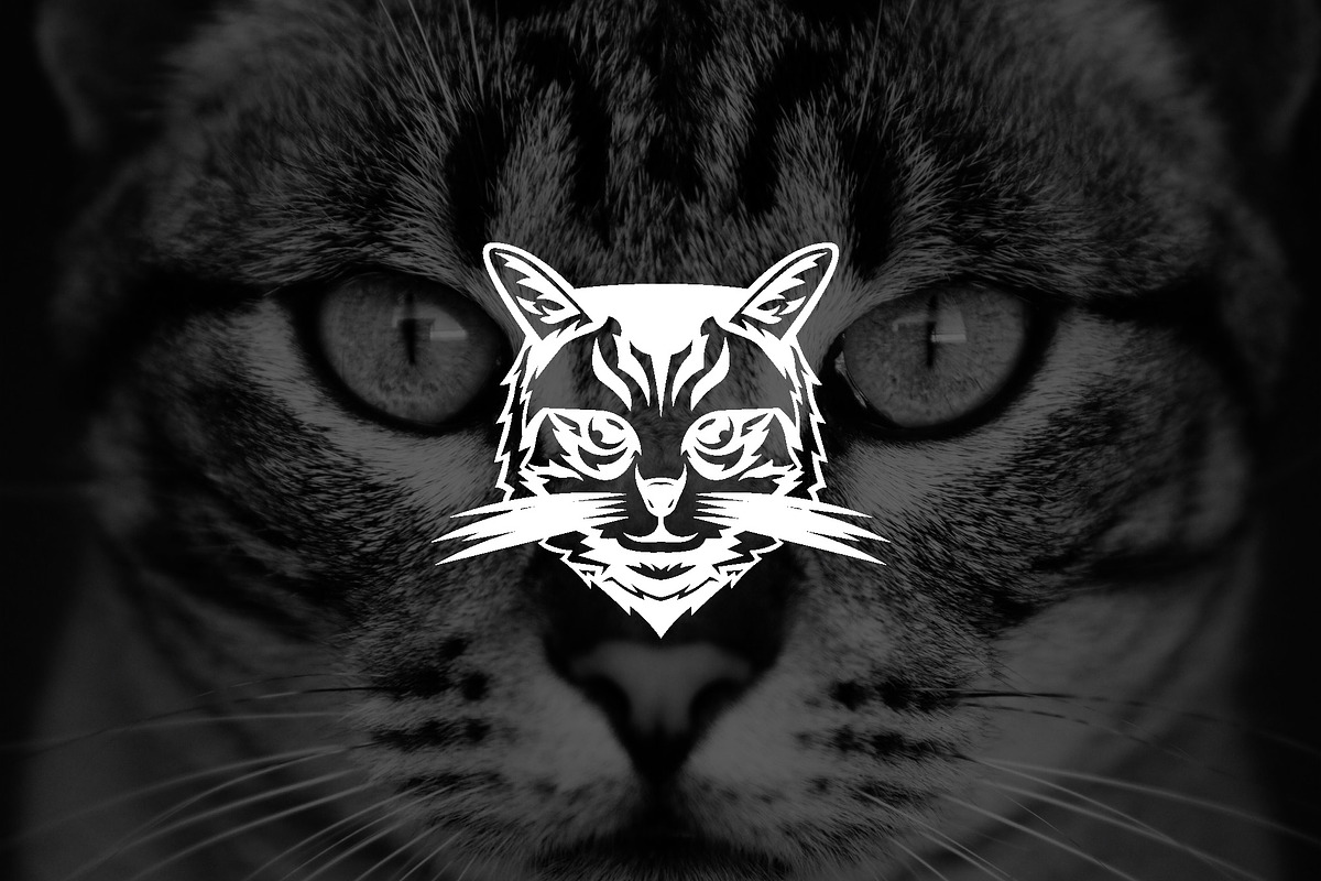 Wild Cat Mascot Logo, a Branding & Logo Template by Luxury Logos (Photo 2 of 4)