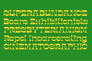 Grovine – Retro Groovy Display Font, a Serif Font by Namela Studio (Thumbnail 10 of 10)
