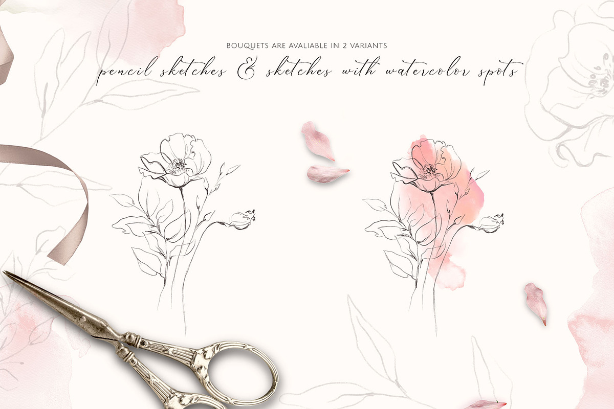 POPPY SUNSET pencil floral sketches, a Decorative Illustration by Yuliia Lashevska (Photo 4 of 10)