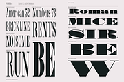 Shomina Font, a Serif Font by Cuchi, qué Tipo! Foundry (Thumbnail 15 of 21)