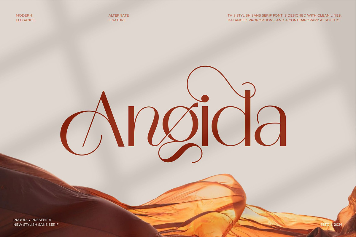 Angida || Modern Classy Sans Serif, a Sans Serif Font by Ermedia Studio (Photo 1 of 10)