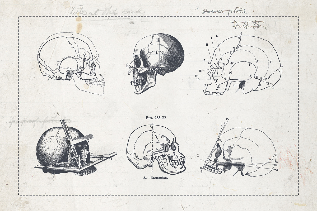 Craniometry, an Object Graphic by Sick Optix (Photo 5 of 8)