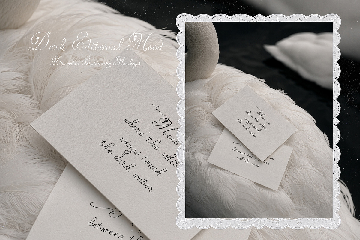 Swan Nocturne Editorial Mockups, an Advertising Mockup by Muse Mockups (Photo 8 of 12)