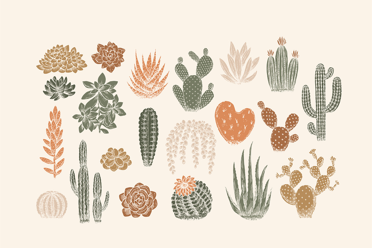 HELLO CACTUS — succulent design kit, a Decorative Illustration by adehoidar (Photo 2 of 12)