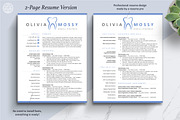 Hygienist Dental Dentist Resume CV, a Resume Template by The Art of Resume (Thumbnail 4 of 8)