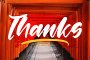 Shinobi Morning Bold Calligraphy, a Script Font by stylishtype.co (Thumbnail 20 of 20)