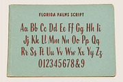 Florida Palms – Tropical Font Duo, a Script Font by Edignwn Type (Thumbnail 12 of 12)